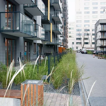 Cybernetyki Mokotów *